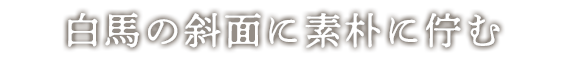 白馬の斜面に素朴に佇む