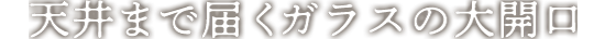 天井まで届くガラスの大開口