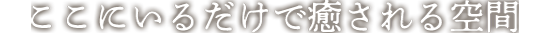 ここにいるだけで癒される空間