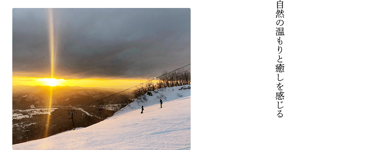 自然の温もりと癒しを感じる
